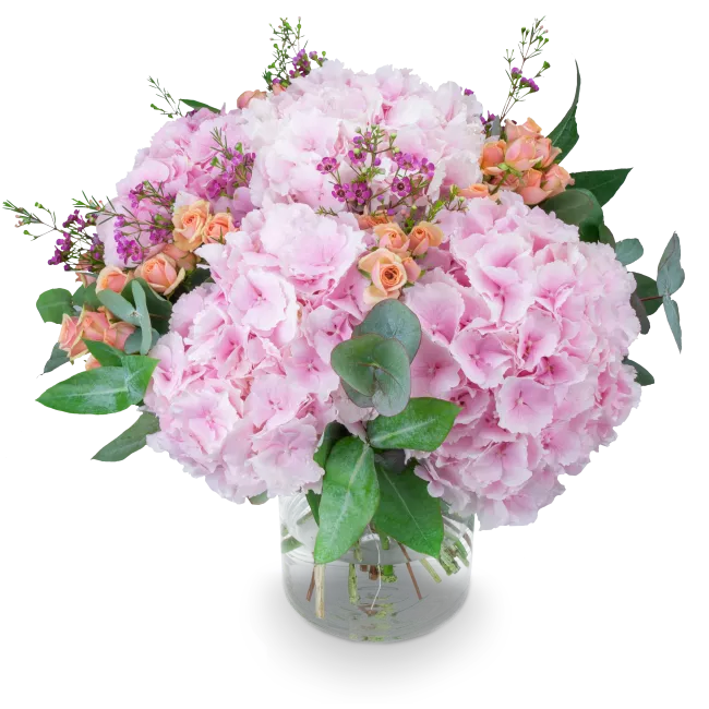 A bouquet of hydrangeas